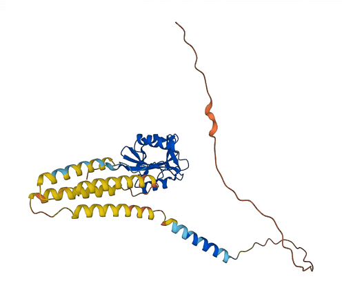 Cd209b 3D structure