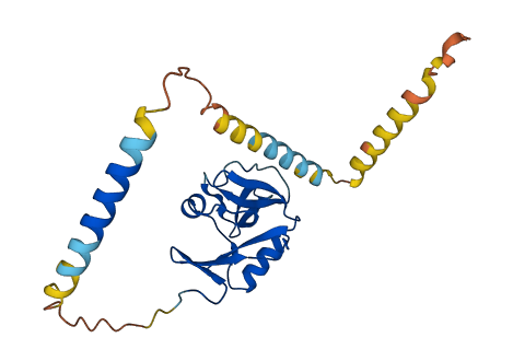 Klre1 3D structure