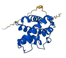 IFNL1 3D structure