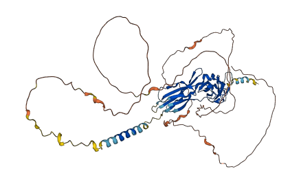 IFNLR1 3D structure