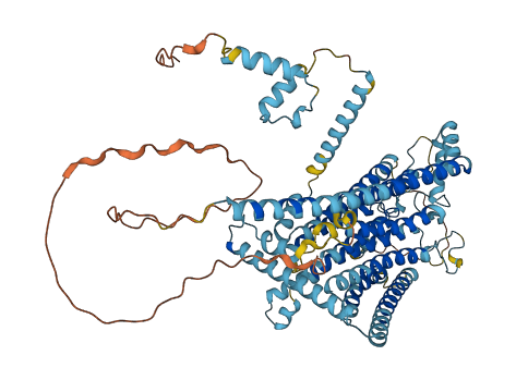 TMC8 3D structure