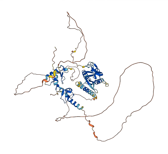 IRF2BP1 3D structure