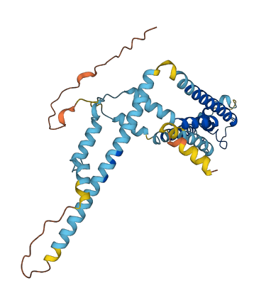 CALHM1 3D structure