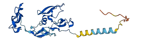 WFDC8 3D structure