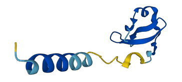 WFDC10B 3D structure
