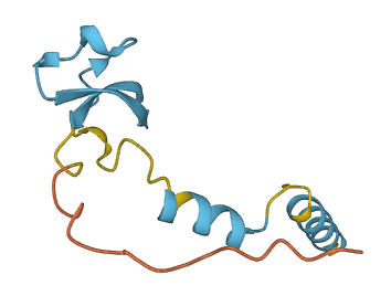 WFDC13 3D structure
