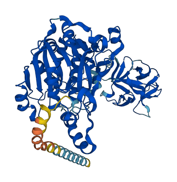 GALNT13 3D structure