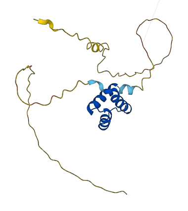 TGIF2LY 3D structure