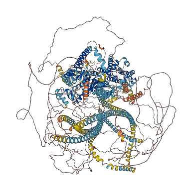 MYO18B 3D structure