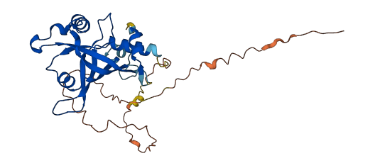 CREG2 3D structure
