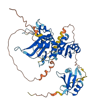 RBM45 3D structure