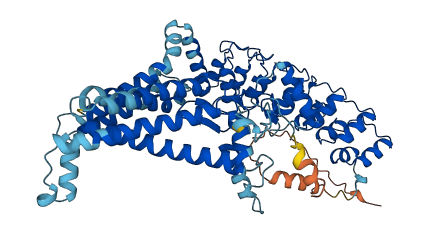 ZDHHC13 3D structure