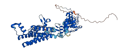 ZDHHC17 3D structure