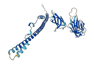 CRLF3 3D structure