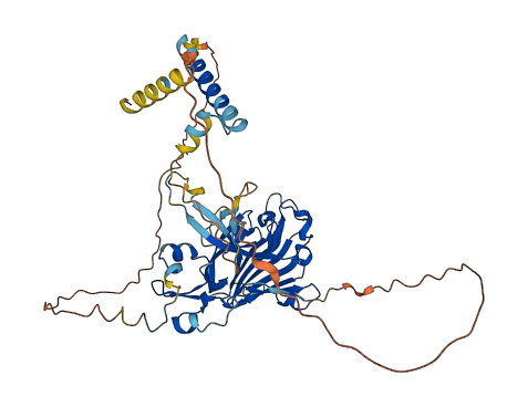 PLXDC1 3D structure