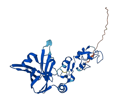 SIAH1 3D structure