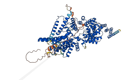 TMTC1 3D structure