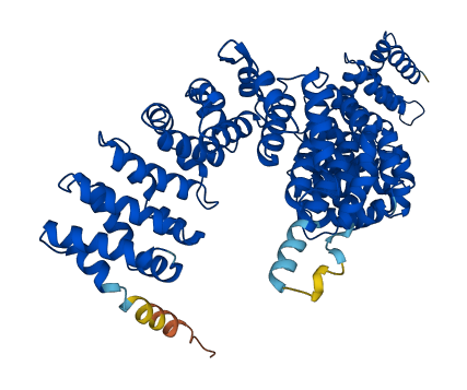 ARMC8 3D structure