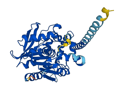 EPHX4 3D structure