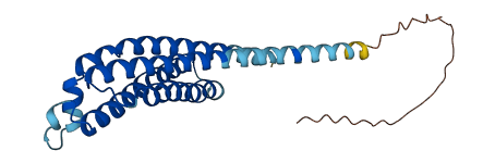 TMEM126B 3D structure