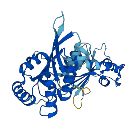 APOBEC3F 3D structure