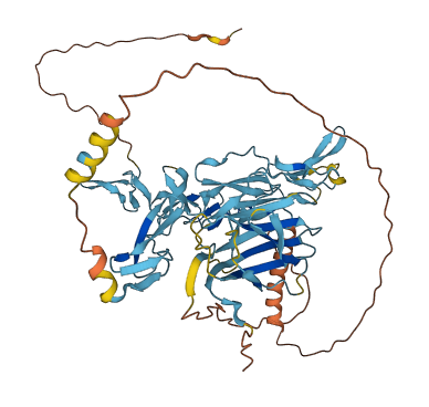 EGFL6 3D structure