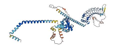 LRRC49 3D structure