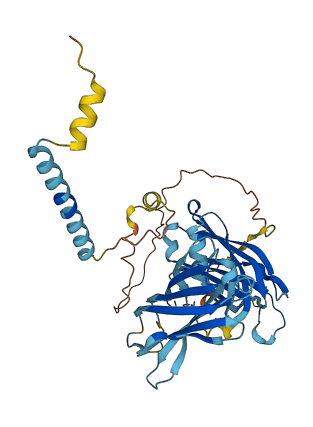 SYT12 3D structure