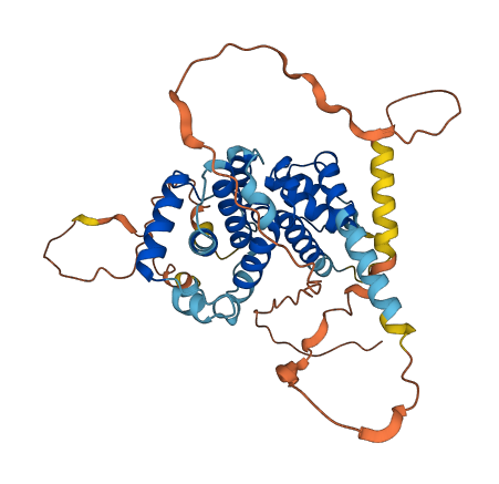CCNJL 3D structure