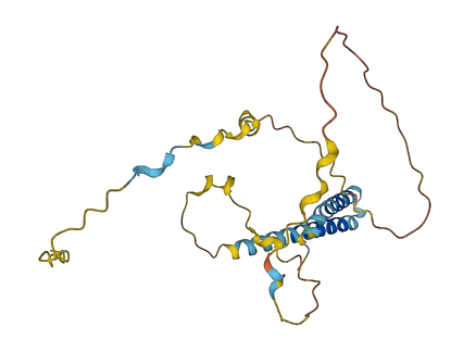 TMEM139 3D structure