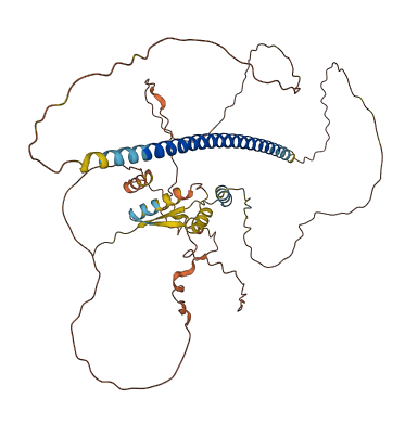 CCDC71 3D structure