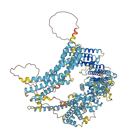 KIAA0825 3D structure