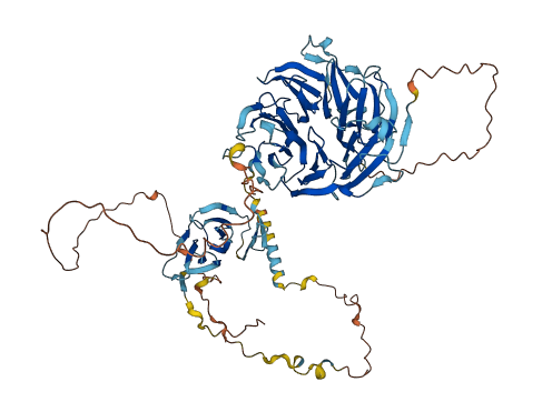 WDR49 3D structure