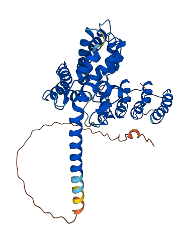 ANKMY2 3D structure