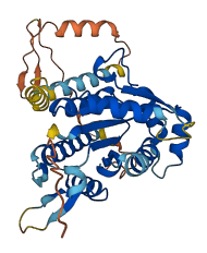 PSTK 3D structure