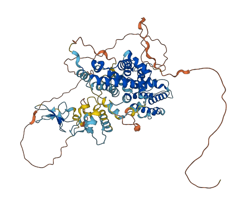RASGRP3 3D structure