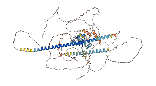 PASD1 3D structure