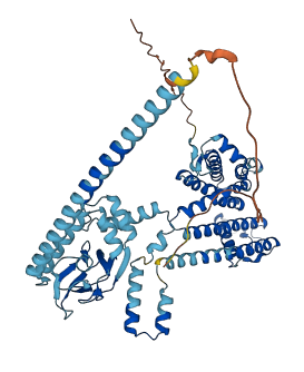 CNGA4 3D structure