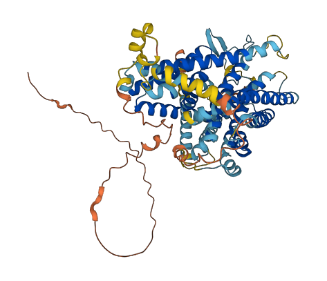 SLC9A9 3D structure