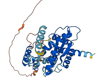 LIX1L 3D structure
