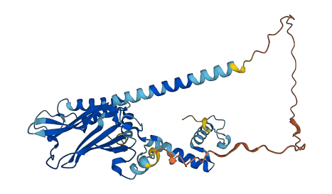 NUDCD3 3D structure