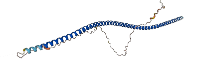 CROCCP3 3D structure