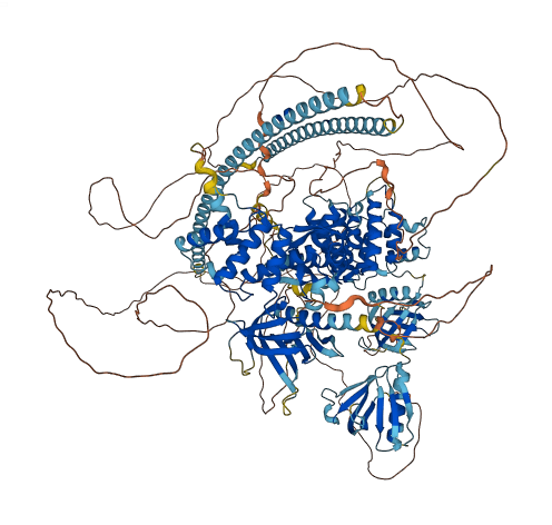 PLEKHH2 3D structure