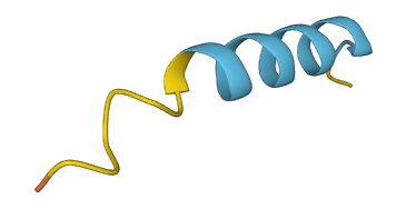 MT-RNR2 3D structure