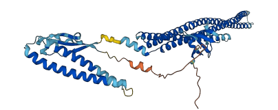 NOSTRIN 3D structure