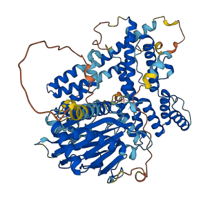P3H3 3D structure