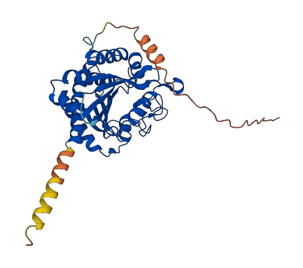 CPO 3D structure
