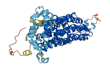 SLC22A9 3D structure