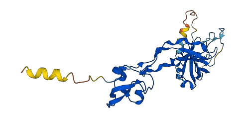 SBSPON 3D structure