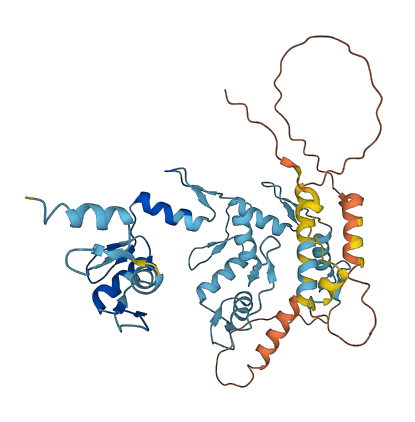 ZNF547 3D structure